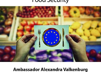 Global Conversation with Ambassador Alexandra Valkenburg
