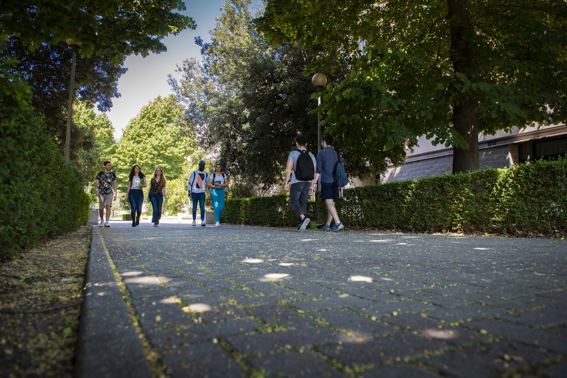 Centre for Economic and International Studies
