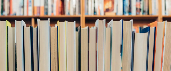 English lessons level B2 and Spanish language course level B1.