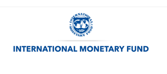 SEMINARIO IMF (FONDO MONETARIO INTERNAZIONALE)
