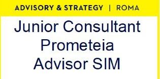 Junior Consultant 