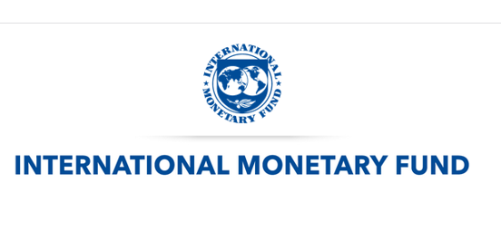 SEMINARIO IMF (FONDO MONETARIO INTERNAZIONALE)