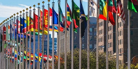 Global Conversation with Sergio Lugaresi