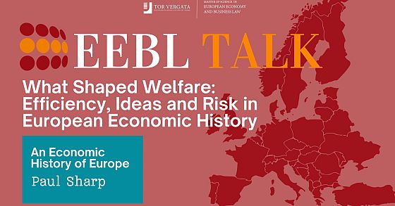 What Shaped Welfare: Efficiency, Ideas and Risk in European Economic History