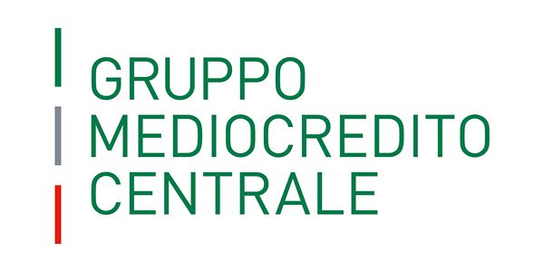 Gruppo Mediocredito Centrale