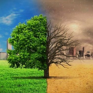 Perché la crisi ambientale è già una questione economica e sanitaria? Lo spiega il Prof. Enrico Giovannini su Avvenire