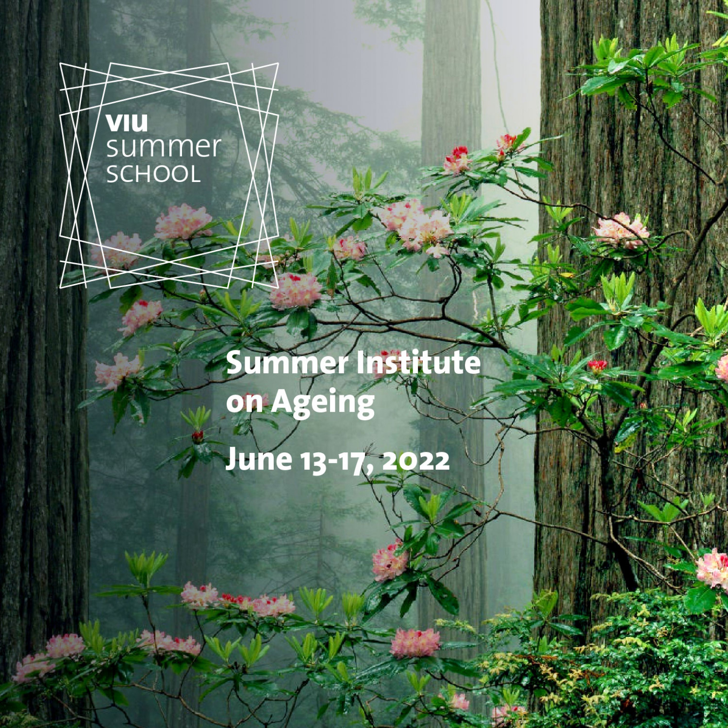 Summer Institute of Ageing 2022